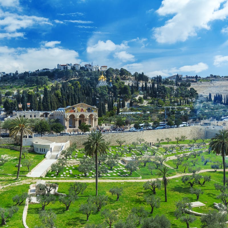 Mt. of Olives_01 (800 x 800)