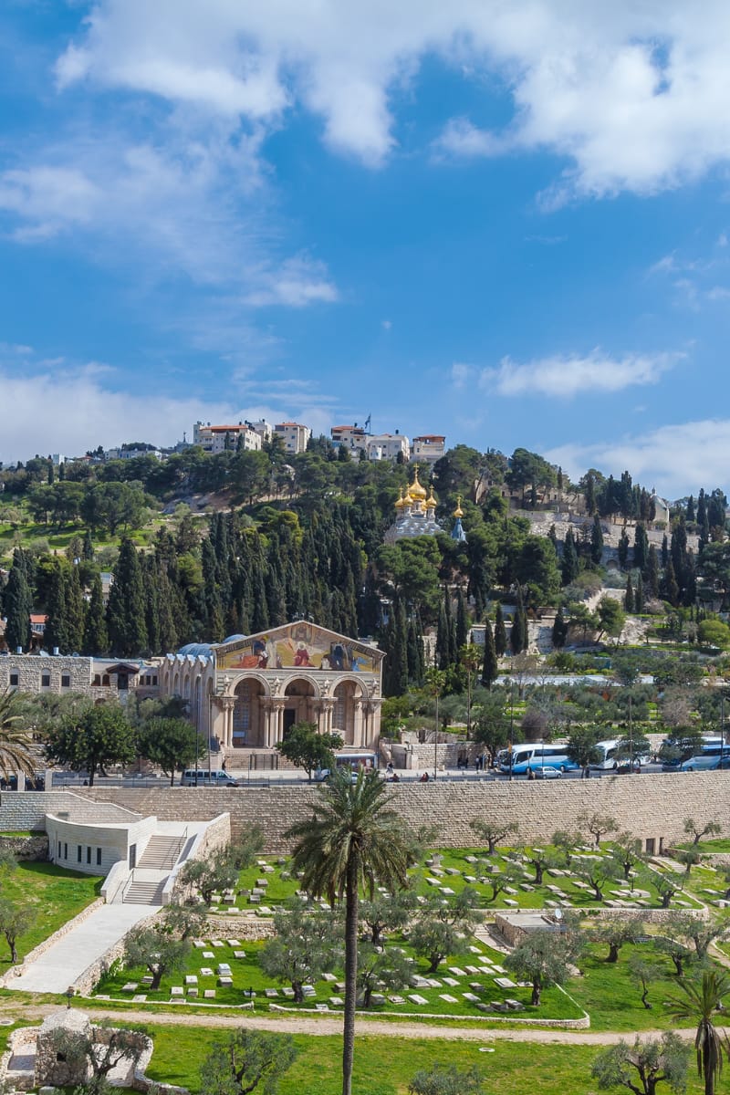 Mt. of Olives_01 (800x1200)